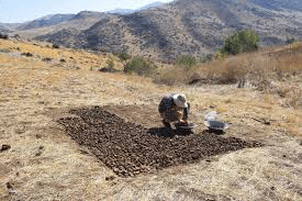 کشف تازه باستان‌شناسان در جنوب دریاچه ارومیه